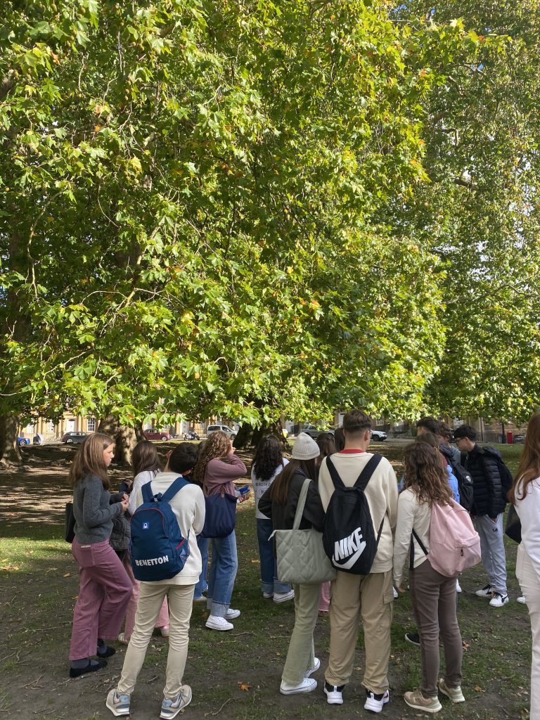 programa de inmersion linguistica para grupos escolares en reino unido e irlanda (6)