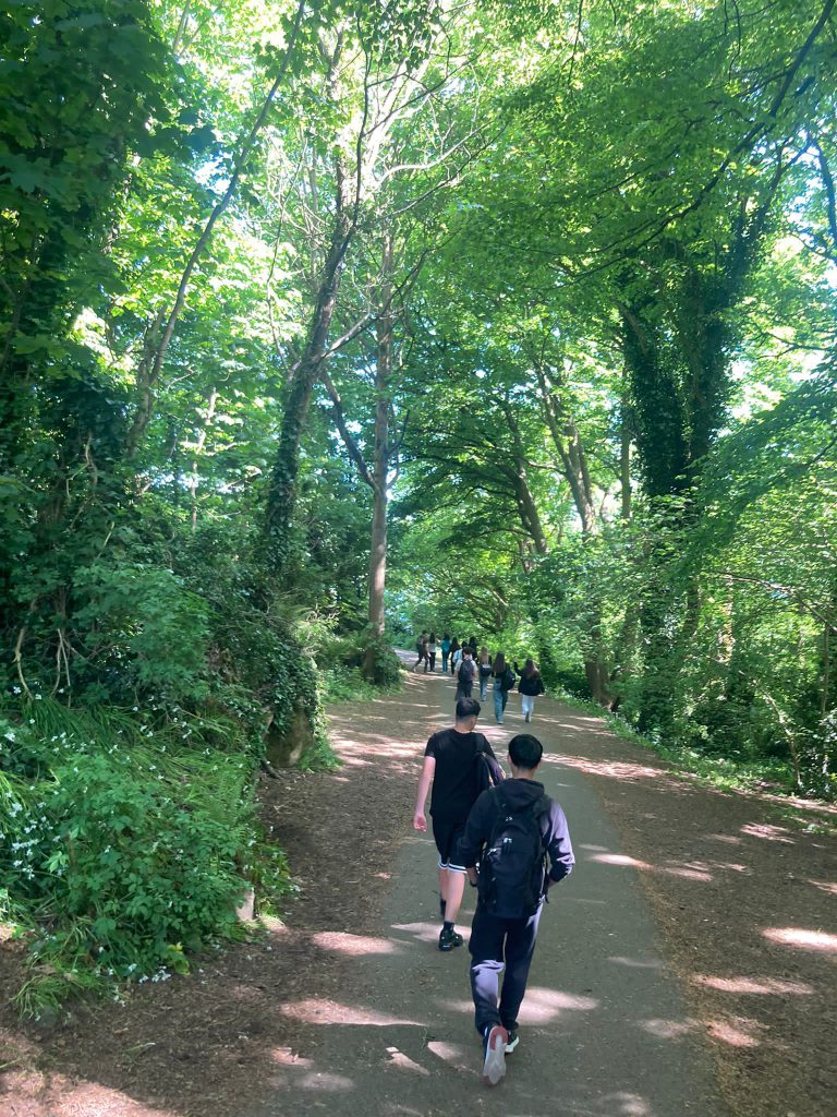 programa de inmersion linguistica para grupos escolares en reino unido e irlanda (22)