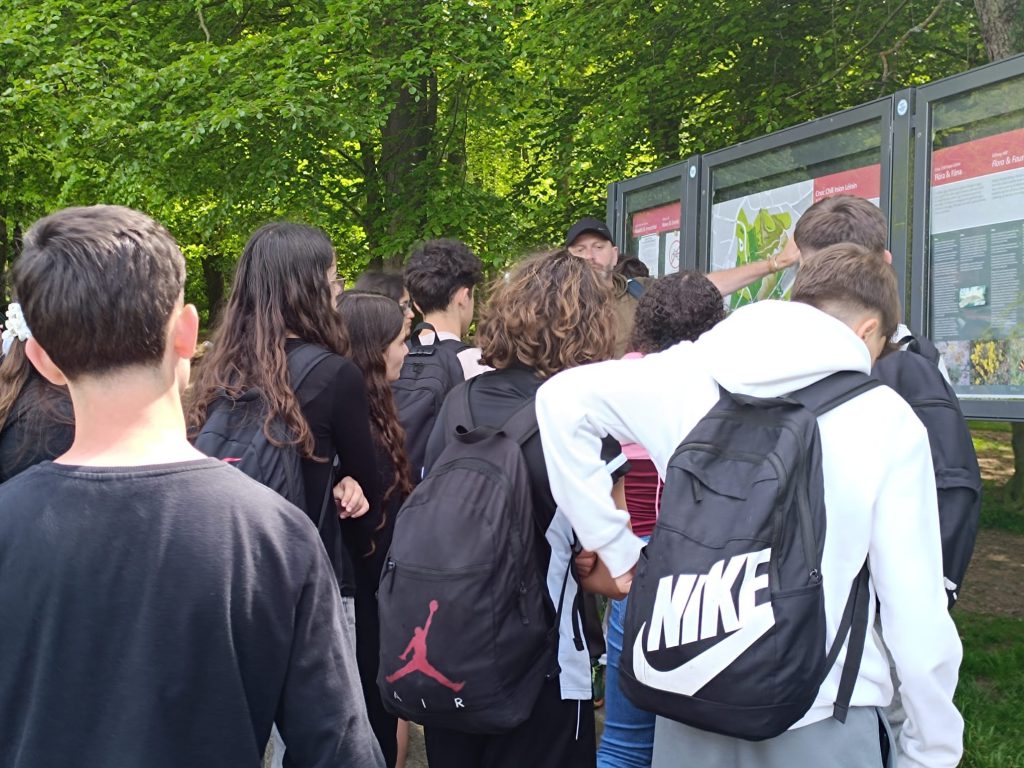 programa de inmersion linguistica para grupos escolares en reino unido e irlanda (25)