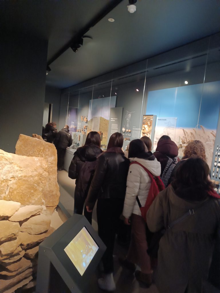 programa de inmersion linguistica para grupos escolares en reino unido e irlanda (26)