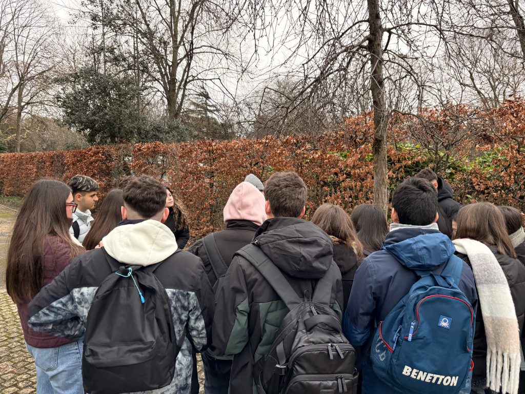 programa de inmersion linguistica para grupos escolares en reino unido e irlanda (11)