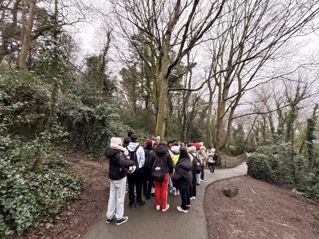 programa de inmersion linguistica para grupos escolares en reino unido e irlanda (6)