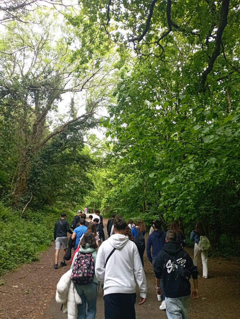 programa de inmersion linguistica para grupos escolares en reino unido e irlanda (29)