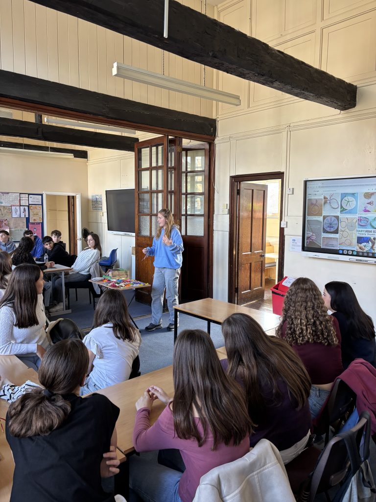 programa de inmersion linguistica para grupos escolares en reino unido e irlanda (7)